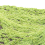 Summer Wild Grass collection vol 224-Blender
