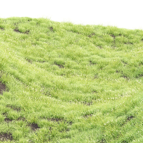 Summer Wild Grass collection vol 224-Blender