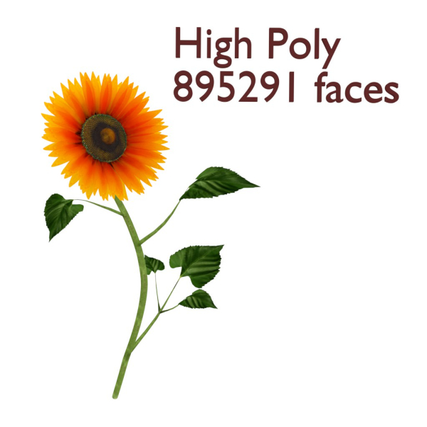 Sunflower orange