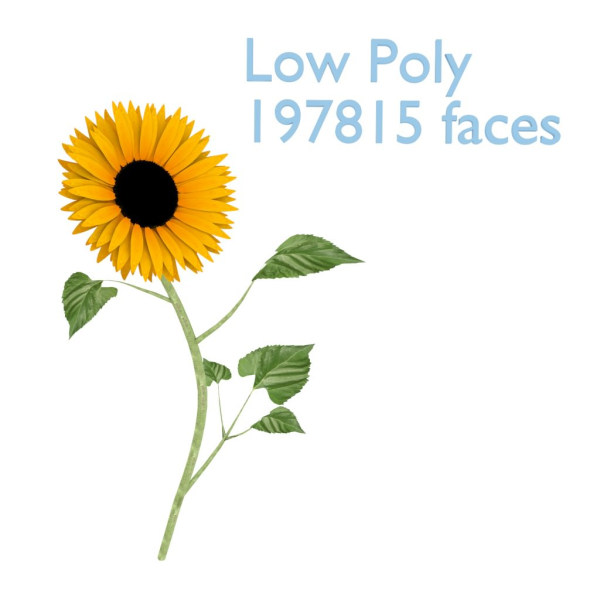 Sunflower orange