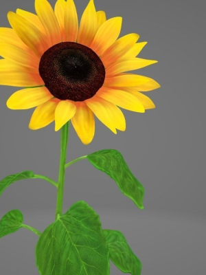 sunflower-3d-model-rigged-fbx-blend-gltf-3mf