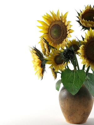 sunflower-in-vase-3d-model-ebd985e62e