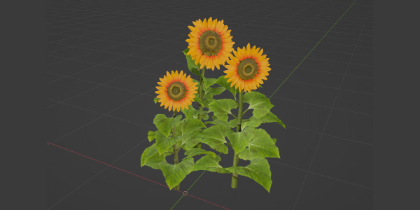 Sunflowers vol 151-Blender