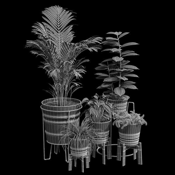 Svartpeppar four potted plants