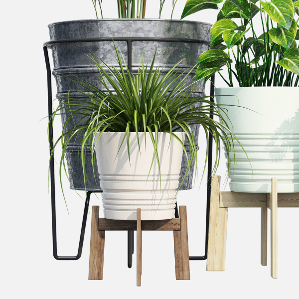 Svartpeppar four potted plants