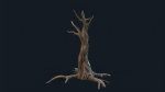 Swamp Dead Tree