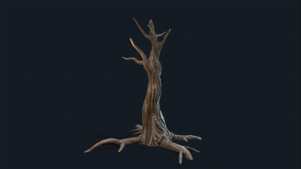 Swamp Dead Tree