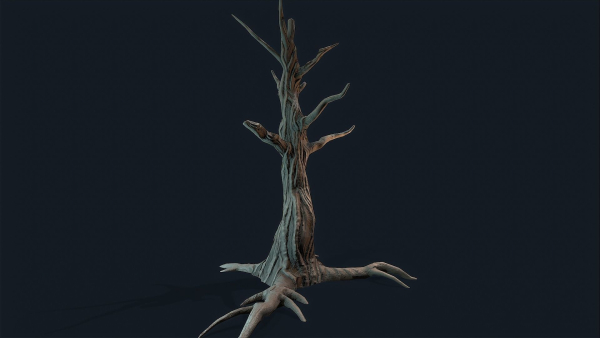 Swamp Dead Tree