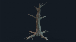 Swamp Dead Tree