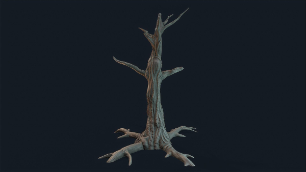 Swamp Dead Tree