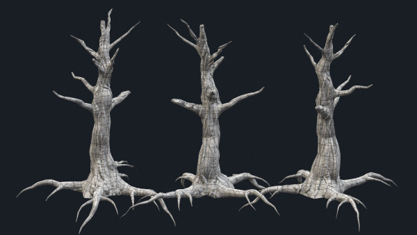 Swamp Dead Tree