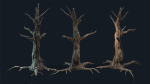 Swamp Dead Tree