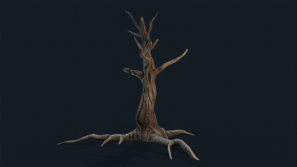 Swamp Dead Tree