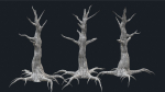 Swamp Dead Tree