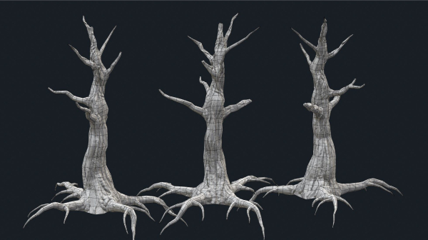 Swamp Dead Tree