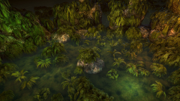 Swamp tussocks
