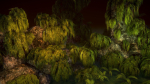 Swamp tussocks