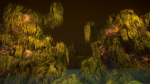 Swamp tussocks