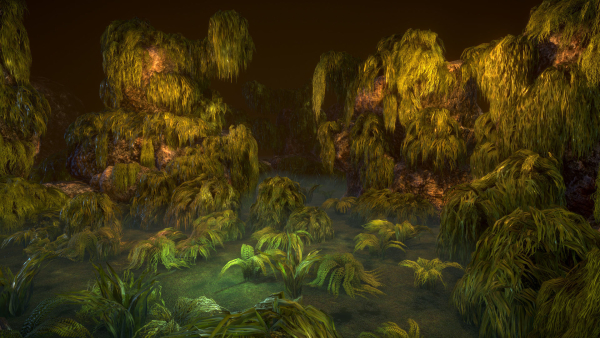 Swamp tussocks