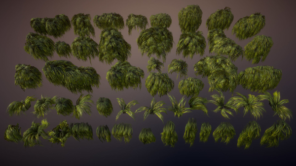 Swamp tussocks