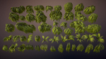 Swamp tussocks