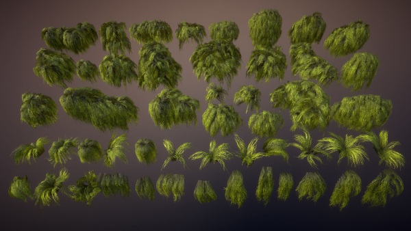Swamp tussocks
