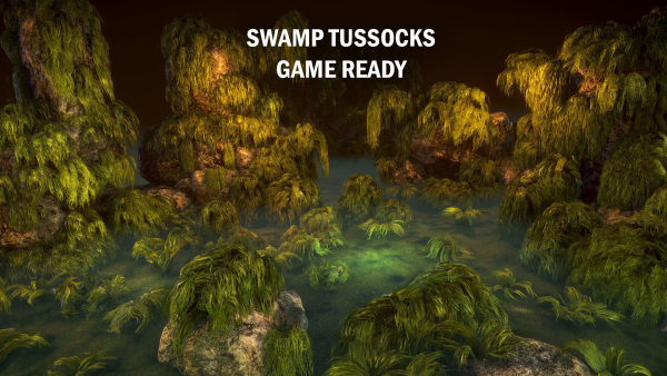 Swamp tussocks