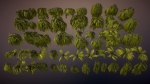 Swamp tussocks