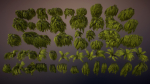 Swamp tussocks