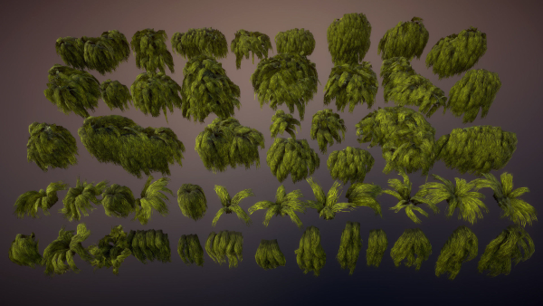 Swamp tussocks