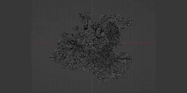 Tamarindus tree vol 207-Blender