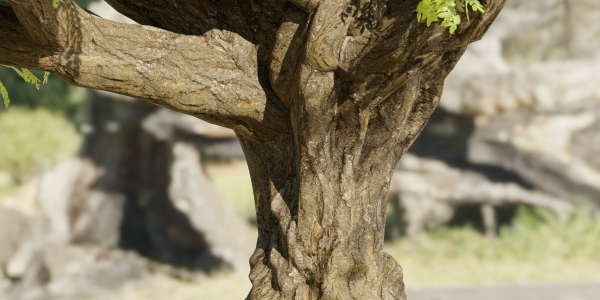 Tamarindus tree vol 207-Blender