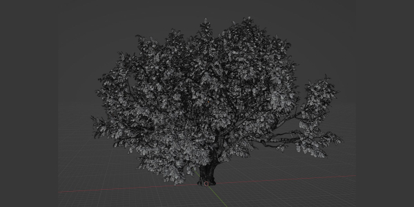 Tamarindus tree vol 207-Blender