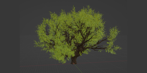 Tamarindus tree vol 207-Blender