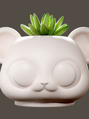 teddy-head-plant-pot-for-3d-printing-planter-3d-model-30270f565a