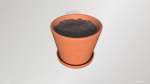 Terracotta Plant Pot