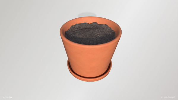 Terracotta Plant Pot