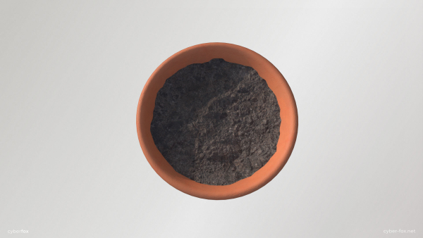 Terracotta Plant Pot