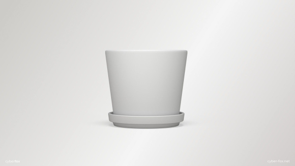 Terracotta Plant Pot