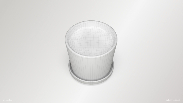 Terracotta Plant Pot