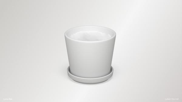Terracotta Plant Pot