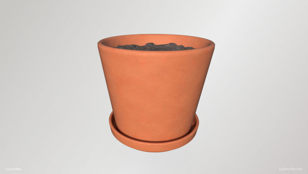Terracotta Plant Pot