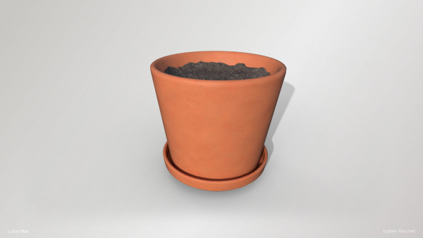 Terracotta Plant Pot