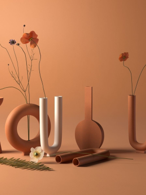 Terracotta Vases with Flowers