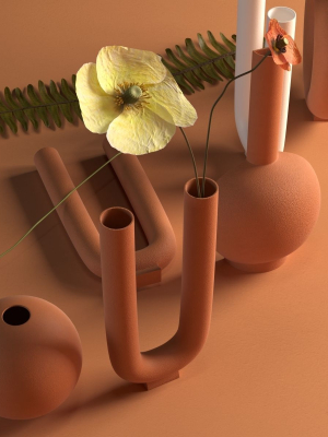terracotta-vases-with-flowers-3d-model-ddfc6d2283