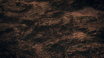TERRAFORM Lowland 09
