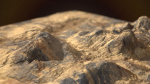 Terrain 01