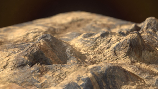 Terrain 01