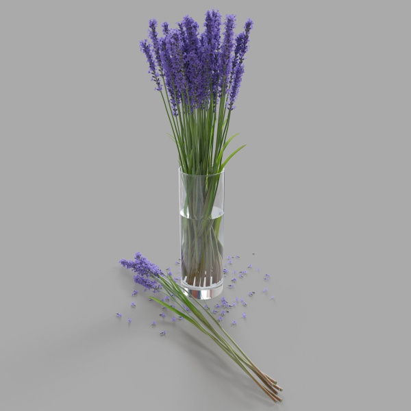 The bouquet of lavender in a vase