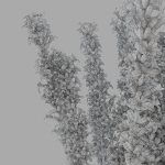 The bouquet of lavender in a vase
